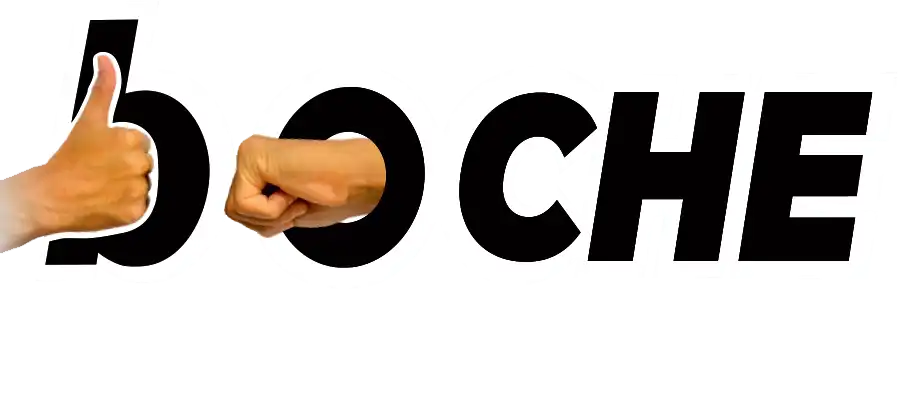 Boche Tours & Travels